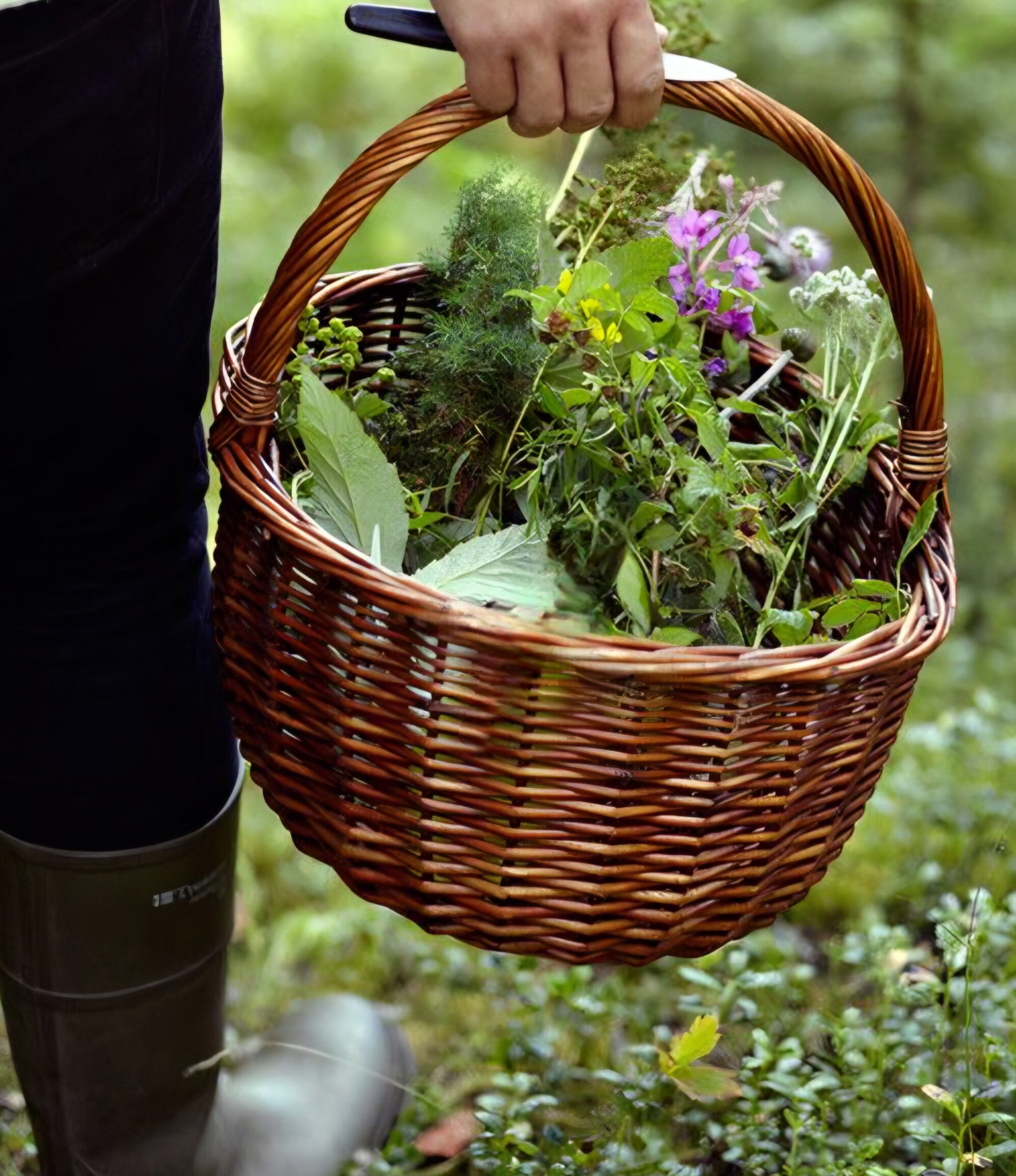 7adacde84a9684a3179b425c60868e67 (4)